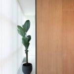 Poliklinika Aesthete