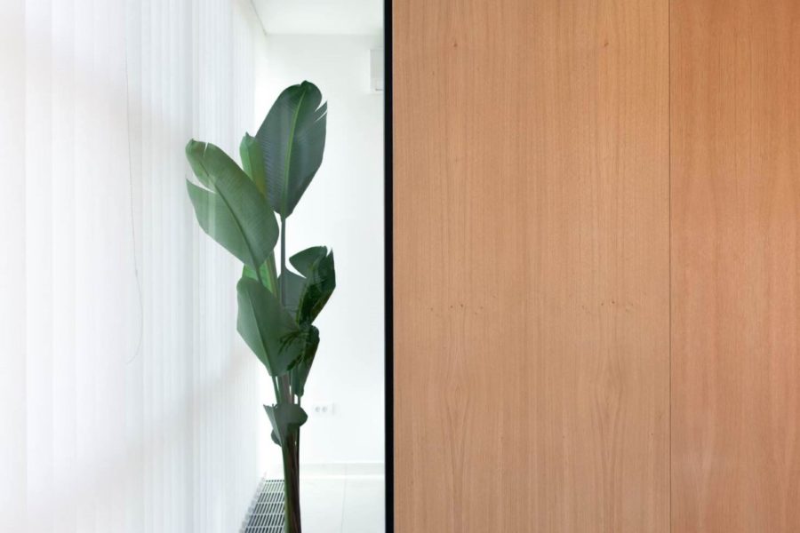 Poliklinika Aesthete